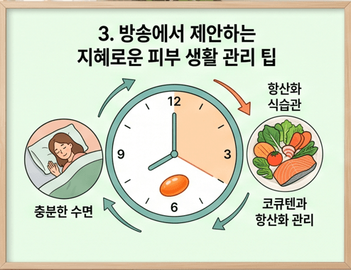 시계 모양의 인포그래픽을 중심으로 항산화 식습관(신선한 채소), 세포 재생을 위한 충분한 수면(숙면 루틴), 그리고 부족한 코큐텐을 의식적으로 보충하는 항산화 관리를 연결하여 표현한 지혜로운 피부 생활 습관 가이드 이미지.