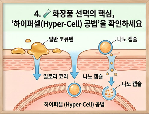 지용성인 일반 코큐텐 성분이 친수성 피부 장벽에서 겉도는 한계를 극복하고, 세포막 구조와 유사한 인지질 나노 캡슐로 감싸 피부 진피층 세포 구석구석까지 깊숙이 스며들게 만드는 첨단 하이퍼셀(Hyper-Cell) 공법의 흡수율 차이를 비교하여 보여주는 과학적인 화장품 기술 메커니즘 일러스트.