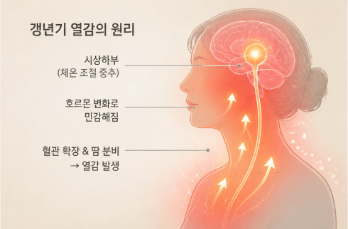 여성의 몸에서 열이 위로 올라오는 흐름을 표현한 갱년기 열감 개념 일러스트