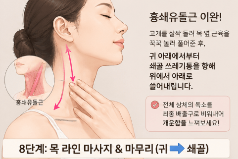 목 옆쪽 흉쇄유돌근 근육을 풀어준 뒤 귀 뒤에서 쇄골 쪽으로 노폐물을 쓸어내려 비워주는 8단계 목 라인 마사지 마무리 이미지. '8단계: 목 라인 마사지 & 마무리'라는 명확한 한글 문구가 포함되어 있다.