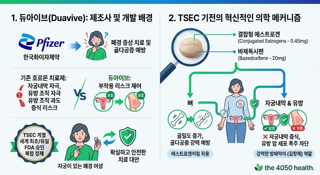 한국화이자제약 듀아이브(Duavive)의 개발 배경과 TSEC 의학적 메커니즘을 설명하는 인포그래픽 이미지. 결합형 에스트로겐과 바제독시펜 성분이 뼈에서는 골밀도를 높이고, 자궁내막과 유방에서는 에스트로겐을 차단하여 자궁내막 증식과 유방암 폭주를 차단하는 원리를 시각화함.