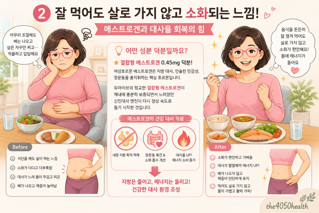 듀아이브의 결합형 에스트로겐 성분이 신진대사율을 높이고 소화 흡수를 돕는 원리를 나타낸 인포그래픽 이미지. 대사 저하로 배가 나오고 살이 찌던 이전 상태와 달리, 내장 지방 축적 억제 및 대사율 상승으로 식후 소화가 편안해진 전후 비교를 보여줌.