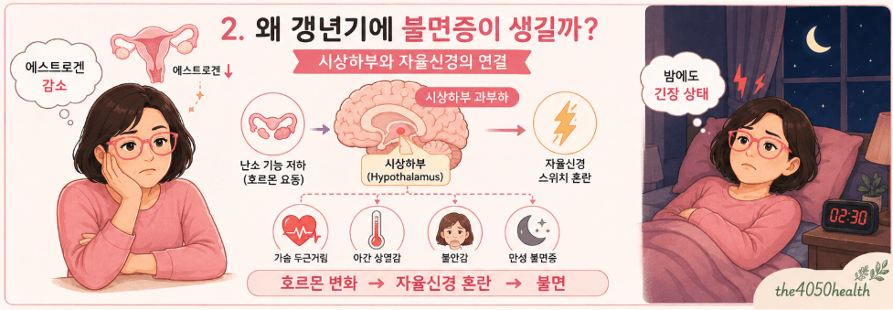 갱년기 불면증과 뇌 시상하부, 자율신경의 연관성을 나타낸 인포그래픽 이미지. 난소 기능 저하로 에스트로겐이 감소하면 시상하부에 과부하가 걸려 자율신경 스위치가 혼란해지고 가슴 두근거림, 야간 상열감, 불안감, 만성 불면증으로 이어지는 과정을 보여줌.