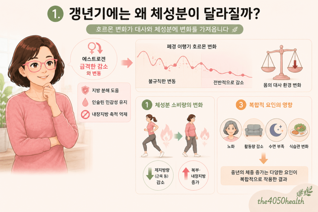 갱년기 체성분 변화의 원인을 설명하는 인포그래픽 이미지. 에스트로겐의 급격한 감소 및 변동으로 인한 대사 환경 변화, 제지방량(근육) 감소 및 복부·내장지방 증가, 그리고 노화, 활동량, 수면, 식습관 등 복합적 요인이 중년 체중 증가에 미치는 영향을 다룸.