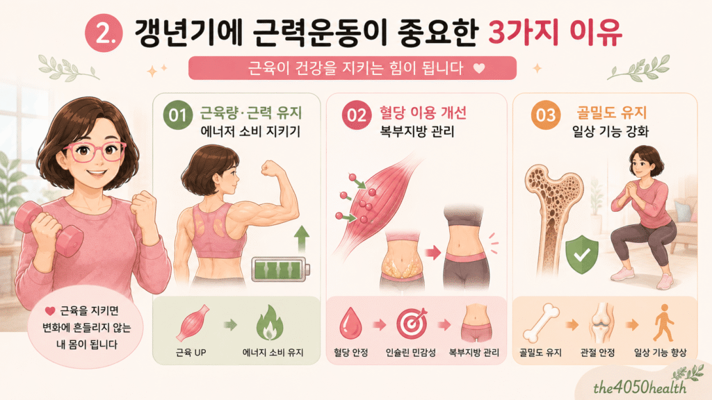 년기에 근력운동이 중요한 3가지 이유를 설명하는 인포그래픽 이미지. 1) 근육량 및 근력 유지로 하루 에너지 소비 지키기, 2) 포도당 이용 능력 개선을 통한 인슐린 민감성 및 복부지방 관리, 3) 골밀도 유지, 관절 안정성 확보 및 일상 기능 향상 효과를 시각적으로 정리함.