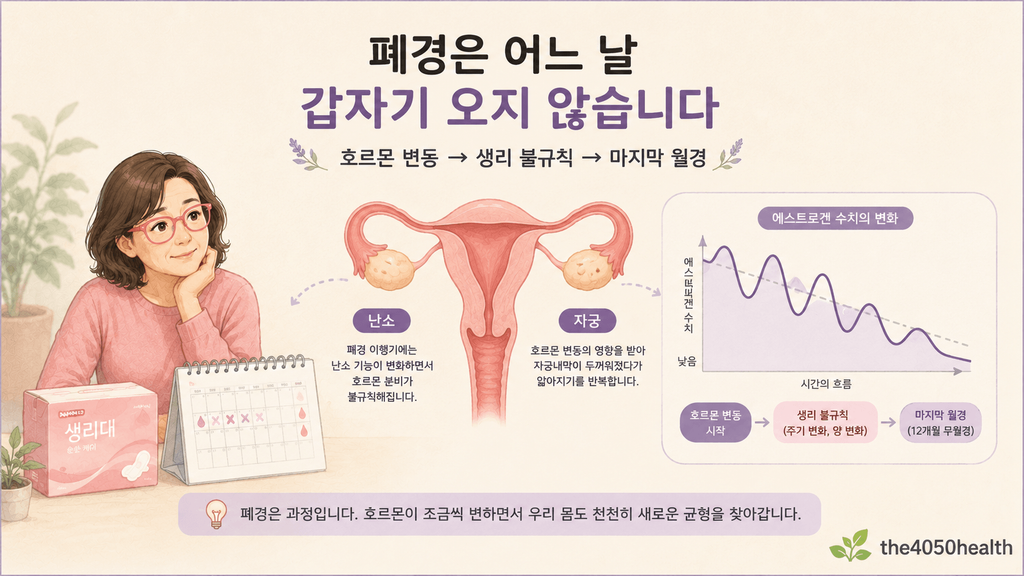 폐경 이행기에 에스트로겐이 불규칙하게 변동하며 생리 주기가 불규칙해지고 마지막 월경으로 이어지는 과정